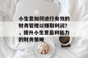 小生意如何进行有效的财务管理以赚取利润？，提升小生意盈利能力的财务策略