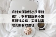 农村如何做好小生意赚钱？，农村创业的小生意赚钱攻略，实现财富增长的有效途径