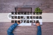 安龙如何通过行业选择实现盈利，安龙行业选择策略下的盈利之道