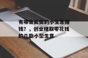 有哪些能做的小生意赚钱？，创业赚取零花钱的几款小型生意