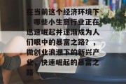 在当前这个经济环境下，哪些小生意行业正在迅速崛起并逐渐成为人们眼中的暴富之路？，微创业浪潮下的新兴产业，快速崛起的暴富之路