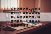 农村创业之路，探索适合的工厂项目以实现盈利，农村创业之路，探索适合的工厂项目以实现盈利的途径