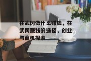 在武冈做什么赚钱，在武冈赚钱的途径，创业与商机探索