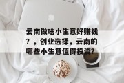 云南做啥小生意好赚钱？，创业选择，云南的哪些小生意值得投资？