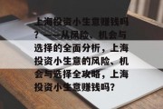 上海投资小生意赚钱吗？——从风险、机会与选择的全面分析，上海投资小生意的风险、机会与选择全攻略，上海投资小生意赚钱吗？