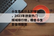 小生意卖什么好赚钱？，2023年创业热门领域排行榜，哪些小生意值得投资