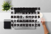 农村小生意之快速赚钱方法——探索多元化发展新路径，农村创业多元化的新型赚钱模式，寻求快速财富增长之路