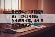 最近哪些小生意好做赚钱？，2023年最新创业项目推荐，小生意赚取丰厚利润