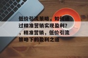 低价引流策略，如何通过精准营销实现盈利？，精准营销，低价引流策略下的盈利之道