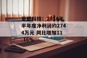 豪鹏科技：2024年半年度净利润约2744万元 同比增加11.16%