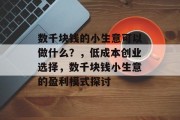 数千块钱的小生意可以做什么？，低成本创业选择，数千块钱小生意的盈利模式探讨