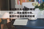 河北做什么小生意赚钱好？，河北省的小吃、茶饮行业创业如何实现盈利?