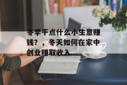 冬季干点什么小生意赚钱？，冬天如何在家中创业赚取收入