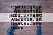 北方赚钱的小生意选择，机会、市场与你自己的定位，小本创业赚取大钱的农村生意，让你轻松月入万元，经营赚钱的副业