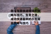 做小生意快速赚钱的策略与技巧，生意之道，成功快速盈利的小型商业策略与技巧