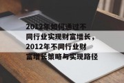 2012年如何通过不同行业实现财富增长，2012年不同行业财富增长策略与实现路径