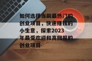 如何选择当前最热门的创业项目，快速赚钱的小生意，探索2023年最受欢迎和高回报的创业项目