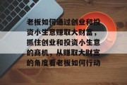 老板如何通过创业和投资小生意赚取大财富，抓住创业和投资小生意的商机，从赚取大财富的角度看老板如何行动