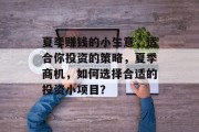 夏季赚钱的小生意，适合你投资的策略，夏季商机，如何选择合适的投资小项目？
