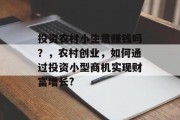 投资农村小生意赚钱吗？，农村创业，如何通过投资小型商机实现财富增长?