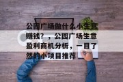 公园广场做什么小生意赚钱？，公园广场生意盈利商机分析，一目了然的小项目推荐