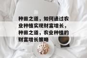种田之道，如何通过农业种植实现财富增长，种田之道，农业种植的财富增长策略