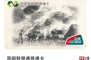 昆明智慧通 NFC 虚拟卡计划 2025 年 1 月底上线苹果、vivo 等手机