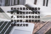 农村小生意投资回报分析，最受欢迎的赚钱方式，农村小生意投资收益与前景，最受欢迎的盈利模式分析