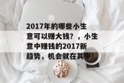 2017年的哪些小生意可以赚大钱？，小生意中赚钱的2017新趋势，机会就在其中！
