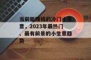 当前能赚钱的冷门小生意，2023年最热门、最有前景的小生意趋势