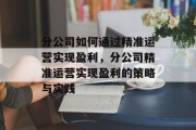 分公司如何通过精准运营实现盈利，分公司精准运营实现盈利的策略与实践