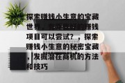 探索赚钱小生意的宝藏世界，有哪些好的赚钱项目可以尝试？，探索赚钱小生意的秘密宝藏，发掘潜在商机的方法和技巧