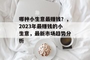 哪种小生意最赚钱？，2023年最赚钱的小生意，最新市场趋势分析