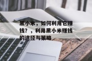 黑小米，如何利用它赚钱？，利用黑小米赚钱的途径与策略