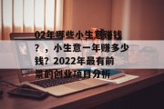 02年哪些小生意赚钱？，小生意一年赚多少钱？2022年最有前景的创业项目分析