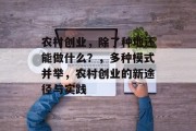 农村创业，除了种地还能做什么？，多种模式并举，农村创业的新途径与实践