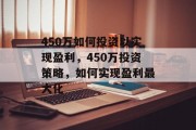 450万如何投资以实现盈利，450万投资策略，如何实现盈利最大化