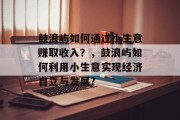鼓浪屿如何通过小生意赚取收入？，鼓浪屿如何利用小生意实现经济自立与发展?