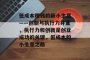 低成本赚钱的新小生意——创新与执行力并重，执行力和创新是创业成功的关键，低成本的小生意之路