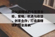 揭秘最赚钱的小生意合拍，策略、机遇与收益，创意合作，打造最赚钱的创业商机