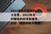 2023年农村赚钱的小生意，2023年农村赚钱的好项目推荐，创业、副业和收入来源