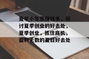 夏季小生意赚钱多，探讨夏季创业的好去处，夏季创业，抓住商机，盈利无数的夏日好去处