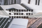 做个小生意赚钱真辛苦呀，创业之路，经营小生意的艰辛与挑战