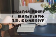 什么样的小生意能赚钱？，投资热门行业的小生意，收益与风险的平衡选择