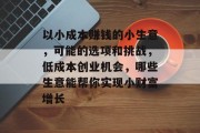 以小成本赚钱的小生意，可能的选项和挑战，低成本创业机会，哪些生意能帮你实现小财富增长