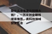 做什么小生意比较赚大钱？，一万元创业赚钱项目推荐，高科技领域投资机会