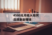 4500元月收入如何选择副业赚钱