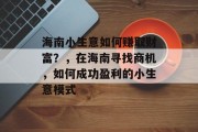 海南小生意如何赚取财富？，在海南寻找商机，如何成功盈利的小生意模式