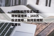 160万如何投资以实现财富增长，160万投资策略，如何实现财富增长