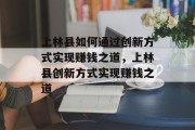 上林县如何通过创新方式实现赚钱之道，上林县创新方式实现赚钱之道